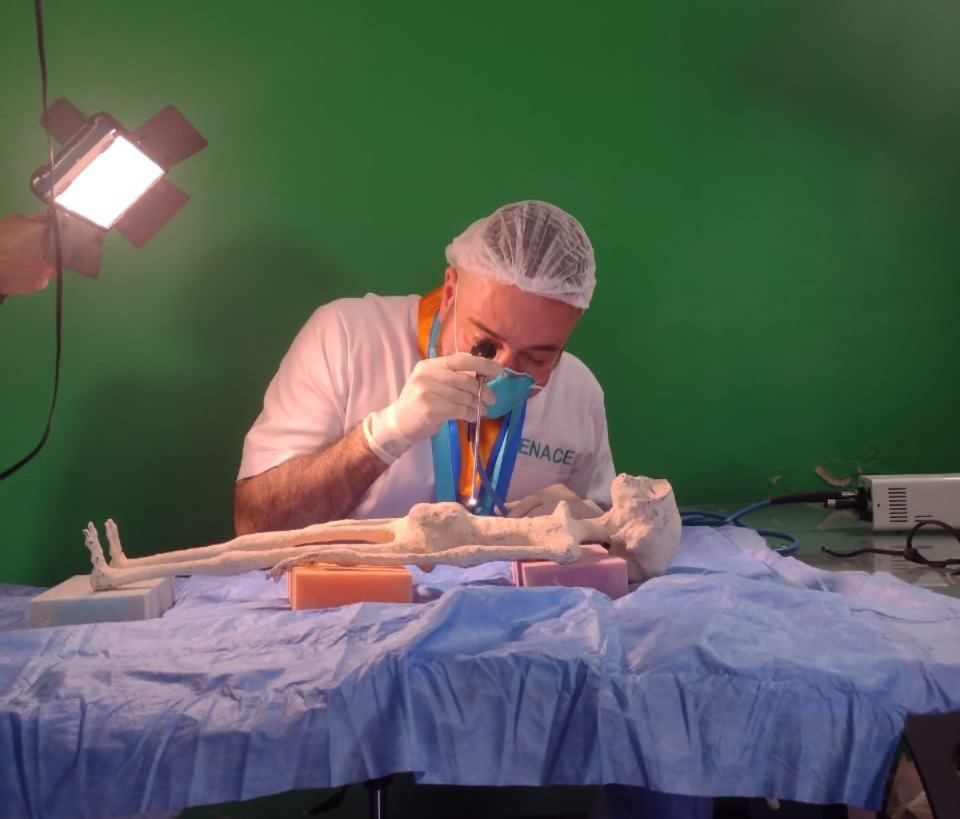 Luisa specimen examination