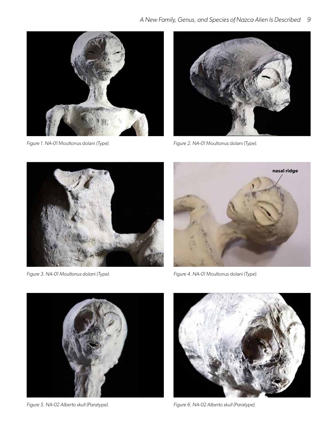 Report page 9 - Figures 1-6: NA-01 and Alberto specimen views