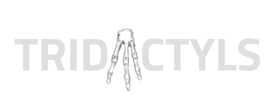 Tridactyls Logo