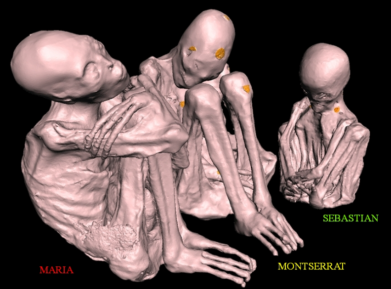 3D CT reconstructions of Maria, Montserrat and Sebastian
